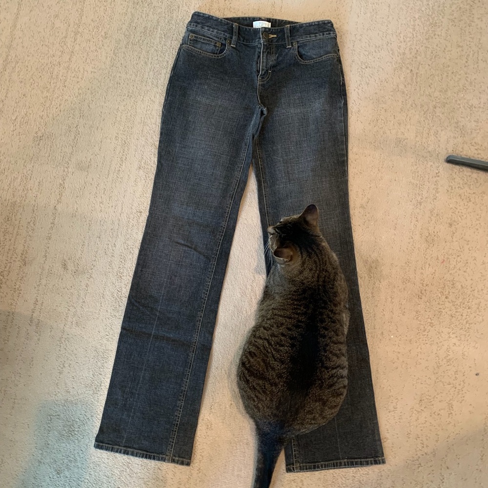 LOFT size 2L “faded” black straight-leg jeans. (Cat not included 😉)